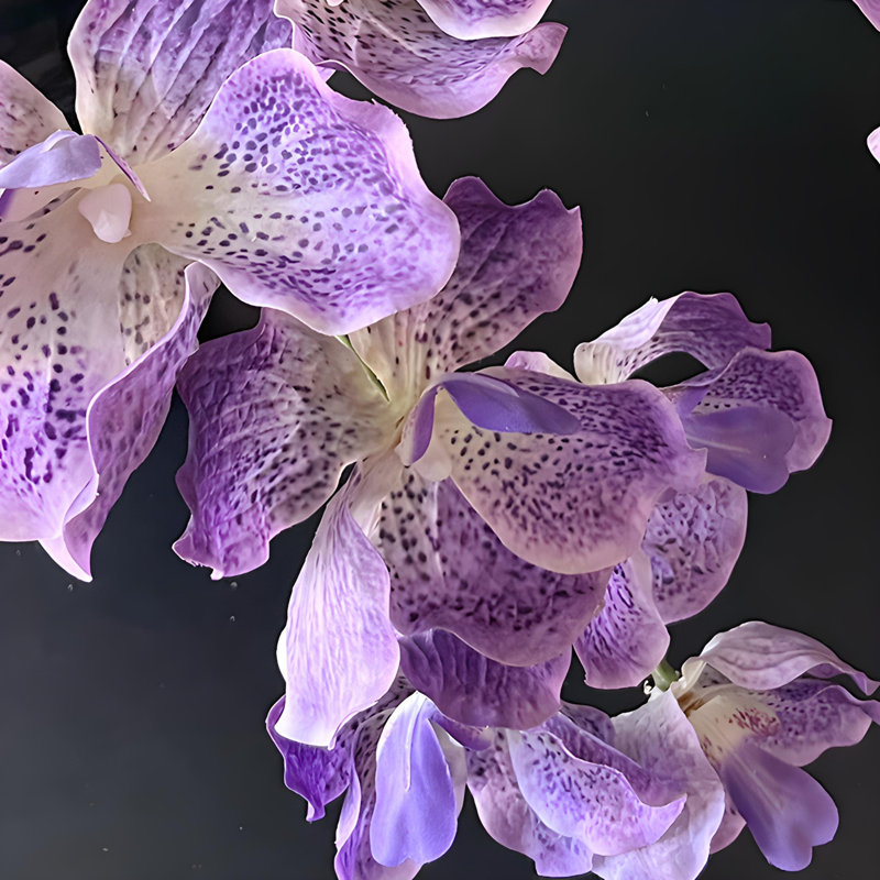 Ornements de fleurs simulées, Mauve
