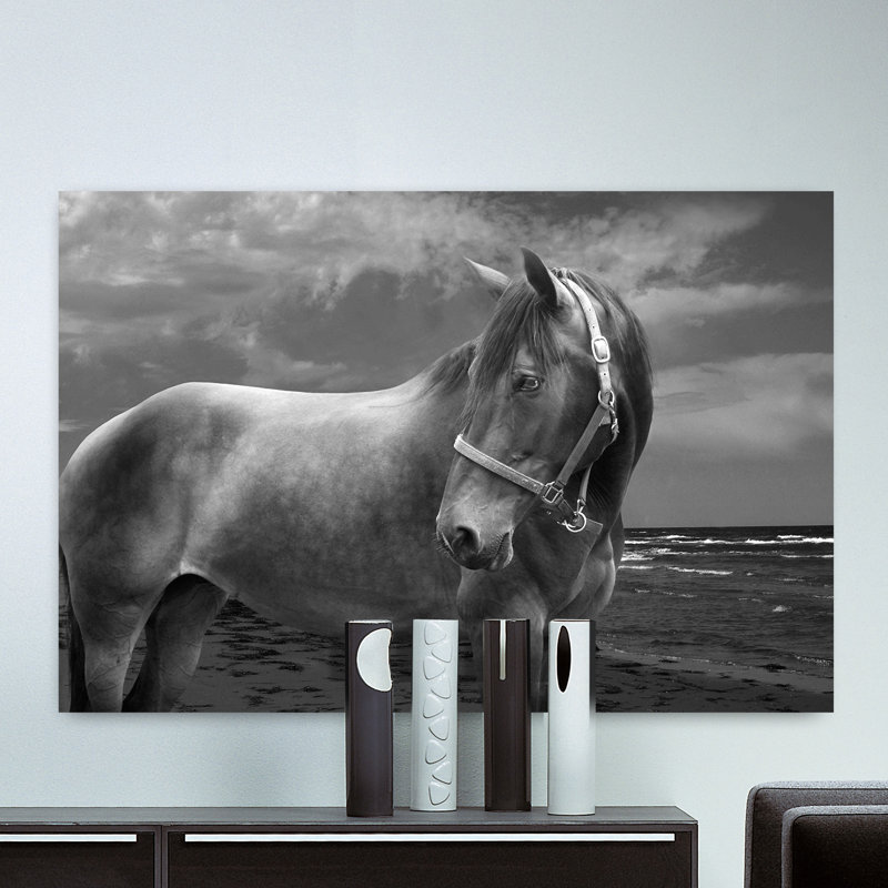 Back to Your Roots 1 Piece Wrapped Canvas Wall Art, 102 cm H x 152 cm W