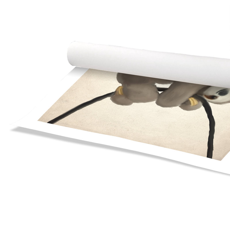 Impression de papier couché roulé, H 36 po x l 24 po x P 1 po