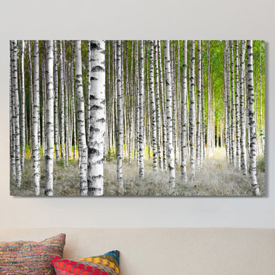 " Birch Trees 1 "