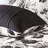 Stunning King/ King Bedding With Floral Print And Solid Black Reverse Microfiber Decorative Pillows