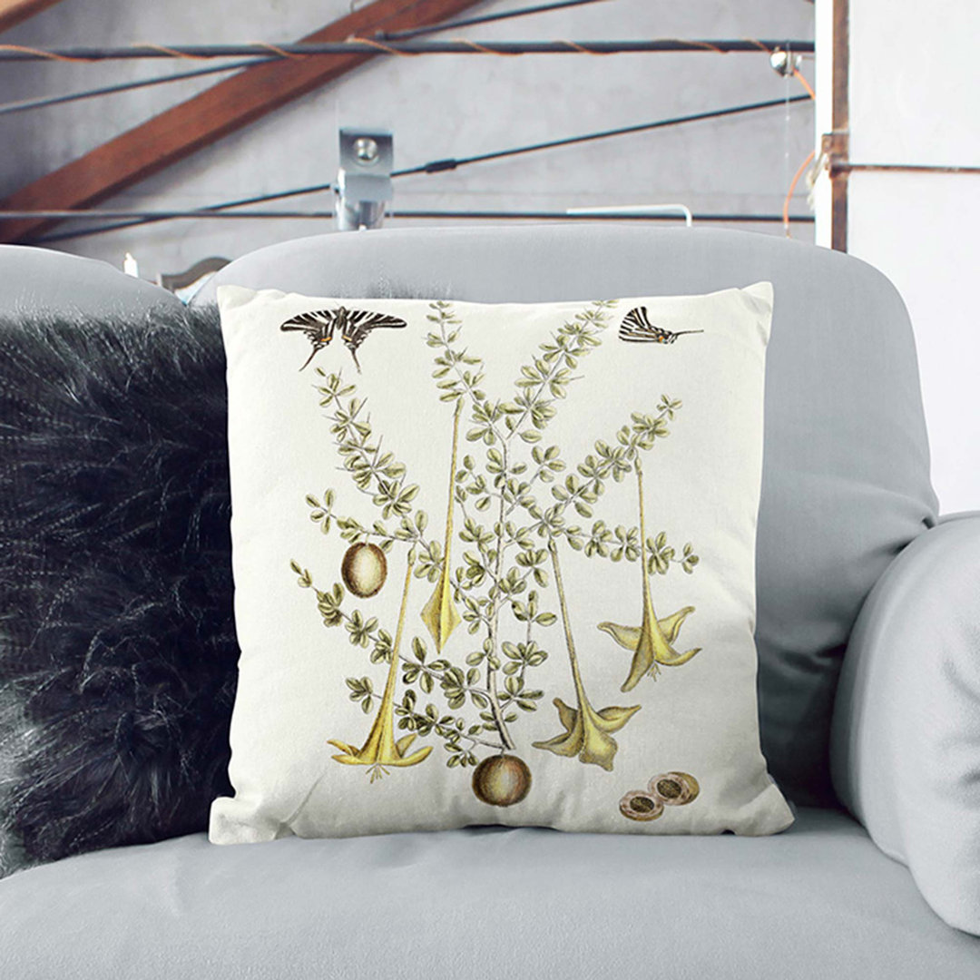 Butterflies and Flowers by Mark Catesby Cushion with Filling