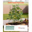0.4cm H x 90cm W Steel Trellis