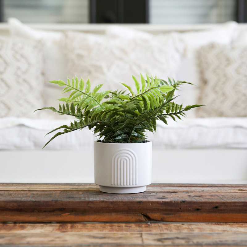 13'' Artificial Boston Fern in White Ceramic Planter