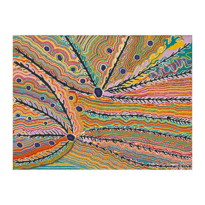 " Wakirlpirri Jukurrpa Multicolour "