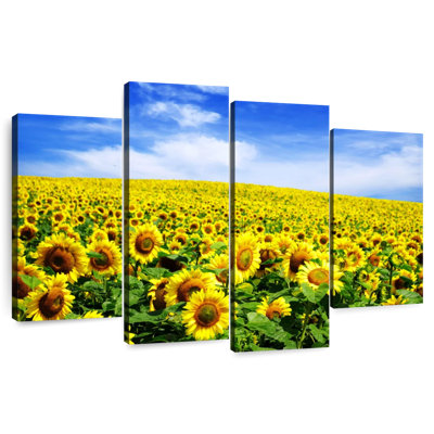Alvord Sunflowers Under Blue Sky
