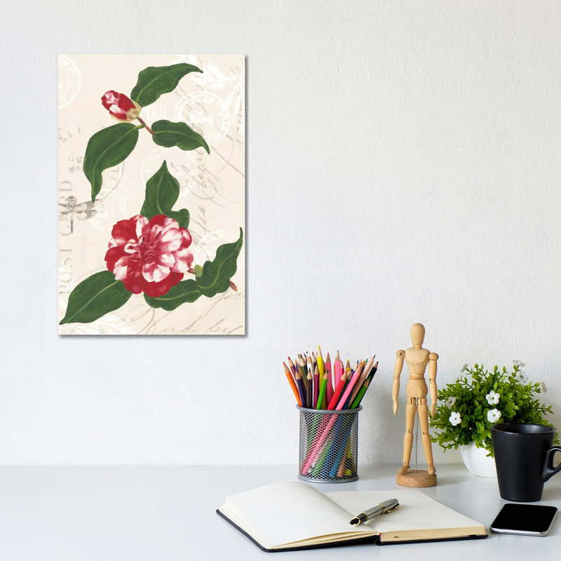 Dianne's Camelias I by Dianne Miller - Gallery-Wrapped Canvas Giclée on Canvas, Canvas, 20.32 cm H x 30.48 cm W