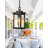 10'' Hardwired Outdoor Hanging Light-100015605