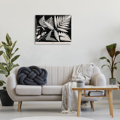 Fougères superposées sur toile noire, design par Phillipa Katz