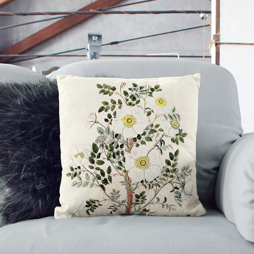 Burnet Rose Flower Illustration Cushion with Filling
