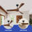 Karroll 52'' Ceiling Fan-133845353