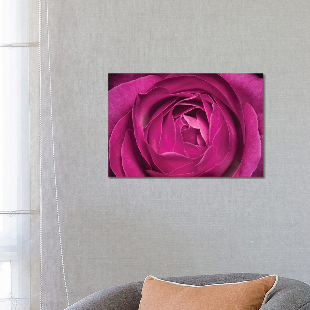 Rose by Glauco Meneghelli - Wrapped Canvas Photograph