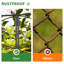 40cm H x 56cm W Metal Fence Panels