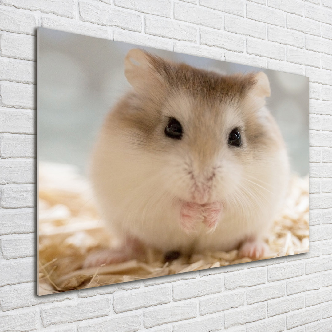 Glasbild Hamster