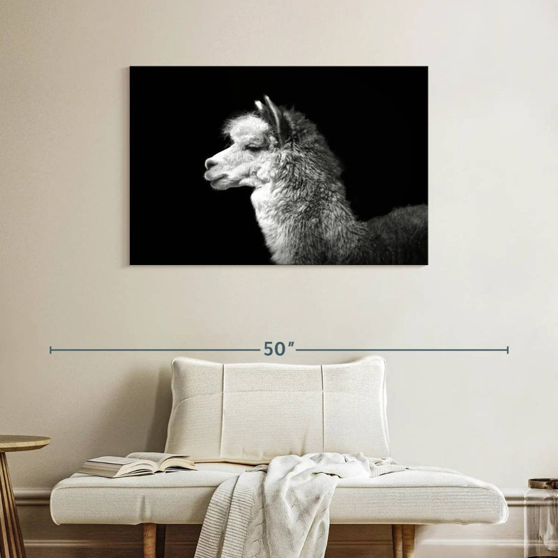 Brampt Noir Llama, 26" H x 39" W