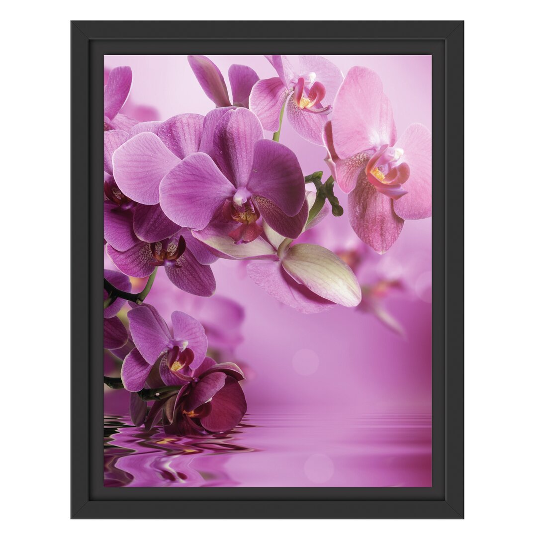 Gerahmtes Wandbild Wunderschöne Orchideenblüten