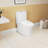 1.1/1.6 GPF Elongated Comfort Height Floor Mounted Onepiece Toilet, CUPC Certified, Watersense Cetified, Ceramic, White Color, Soft Close Seat
