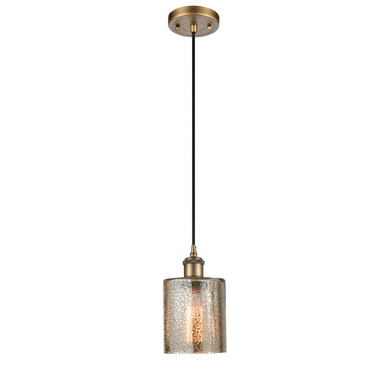 Luminaire suspendu en dôme à 1 lumière Willamette, Ampoule non incluse, Laiton brossé, Mercurisé