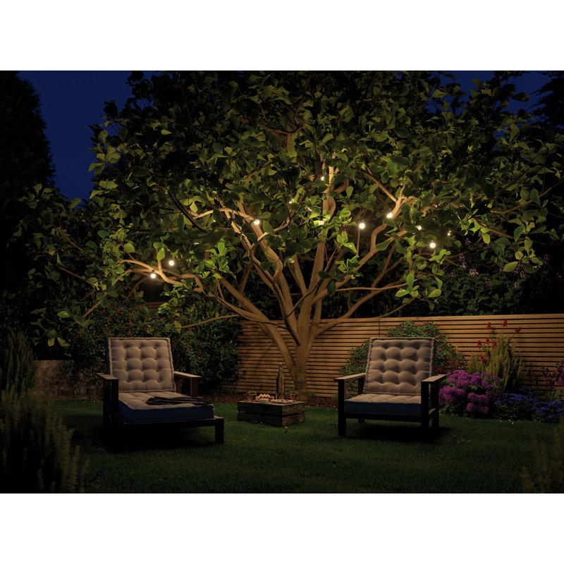 Plug&Shine 6.81cm LED 7 - Bulb Globe String Light