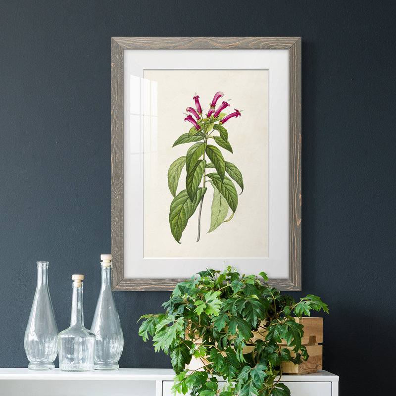 Joli cadre botanique de qualité supérieure rose prêt à accrocher de Botanicals, H 38 po x l 28 po x P 1 po, Cadre gris