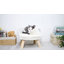 Kaela Round Pet Sofa-500352700