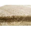 Southwestern Area Rug in Beige