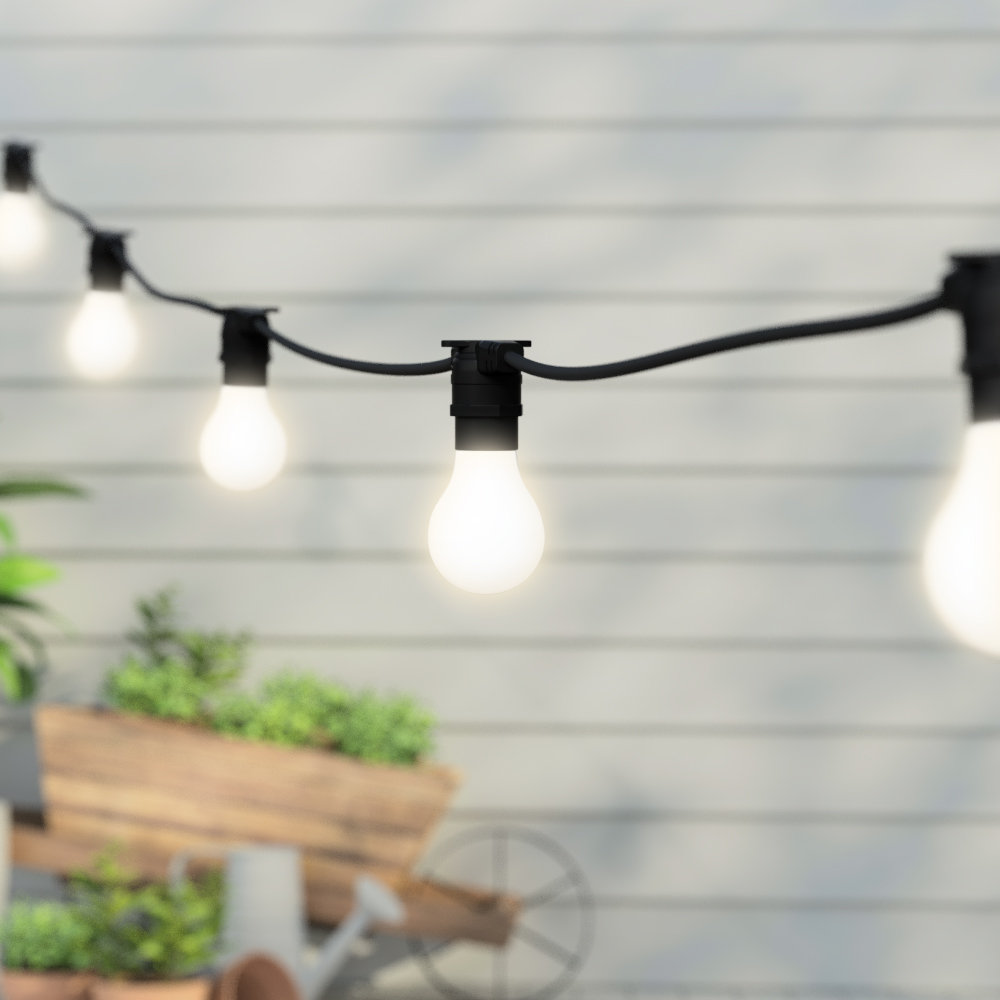 Barbarino Festoon Lights String Light
