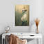 Chat blanc Brampt-108472445