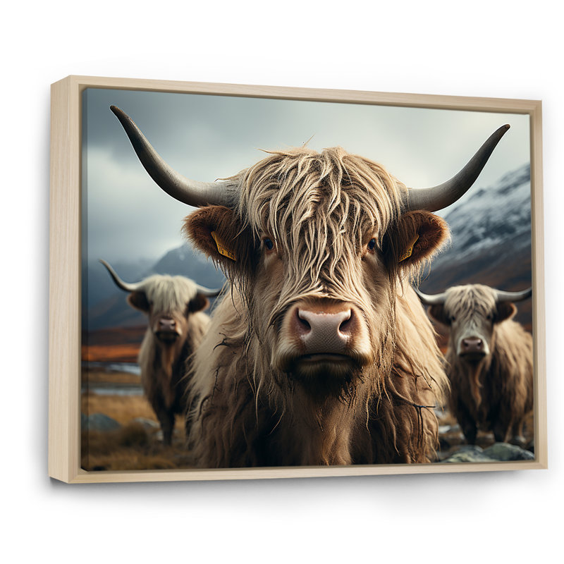 Majestic Highlands Yaks sur toile, Cadre naturel flottant, H 30 po x l 40 po