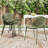 Contemporary 2-Piece Plastic Dining Chair Set with Ergonomic Design and Sturdy Metal Legs for Patio or Porch-1710969549