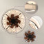 Ventilateur de plafond 19,6 po Arachne-117435473-132524701