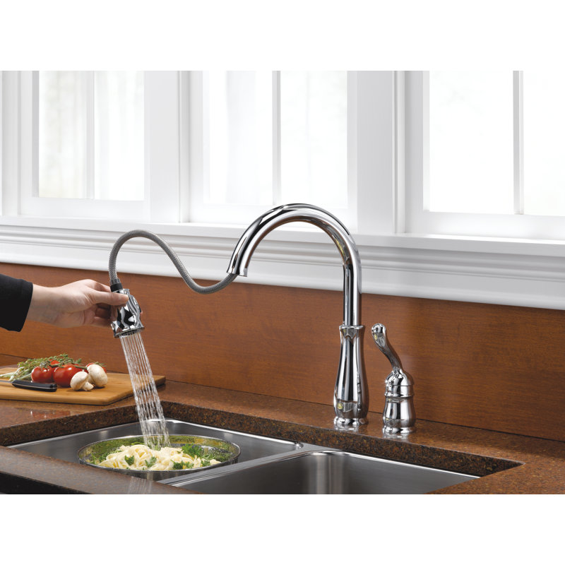 Leland Pull Down Single Handle Kitchen Faucet With Accessories, Chrome