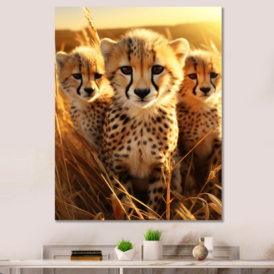 Photo Of Cheetah Chase II - Leopard/Cheetah Animal Wall Art