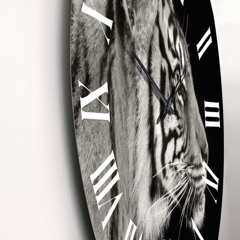 Portrait d'un tigre blanc - Horloge murale traditionnelle, Grand