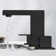 2-handle Bathroom Faucet with Drain Assembly
