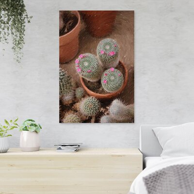 Green Cactus In Brown Clay Pot 2 - 1 Piece Rectangle Graphic Art Print On Wrapped Canvas -  Foundry Select, 72162CD618704C09992AE26388AFCC87