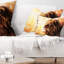 Lion Fractal Oreiller Animal