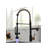 AvaMalis Pull Down Kitchen Faucet-100674955
