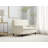 Versatile 2-Seater Sofa Sleeper with Advanced Recline Feature for Ultimate Comfort-1507673544