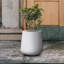 Pot à fleurs en béton Krute-847046237