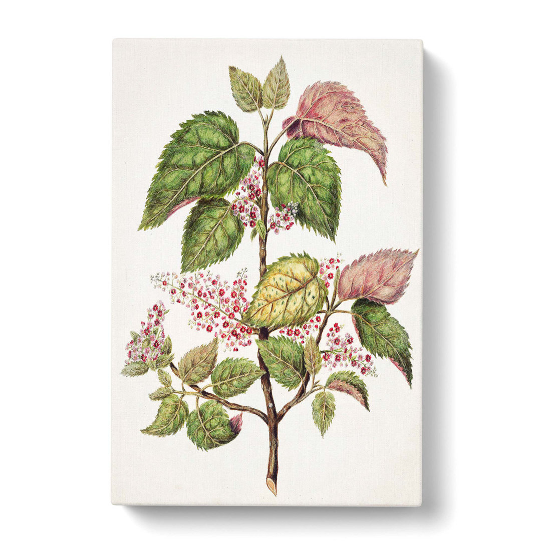 Pink Flowering Flowers by Sarah Featon - Wrapped Canvas