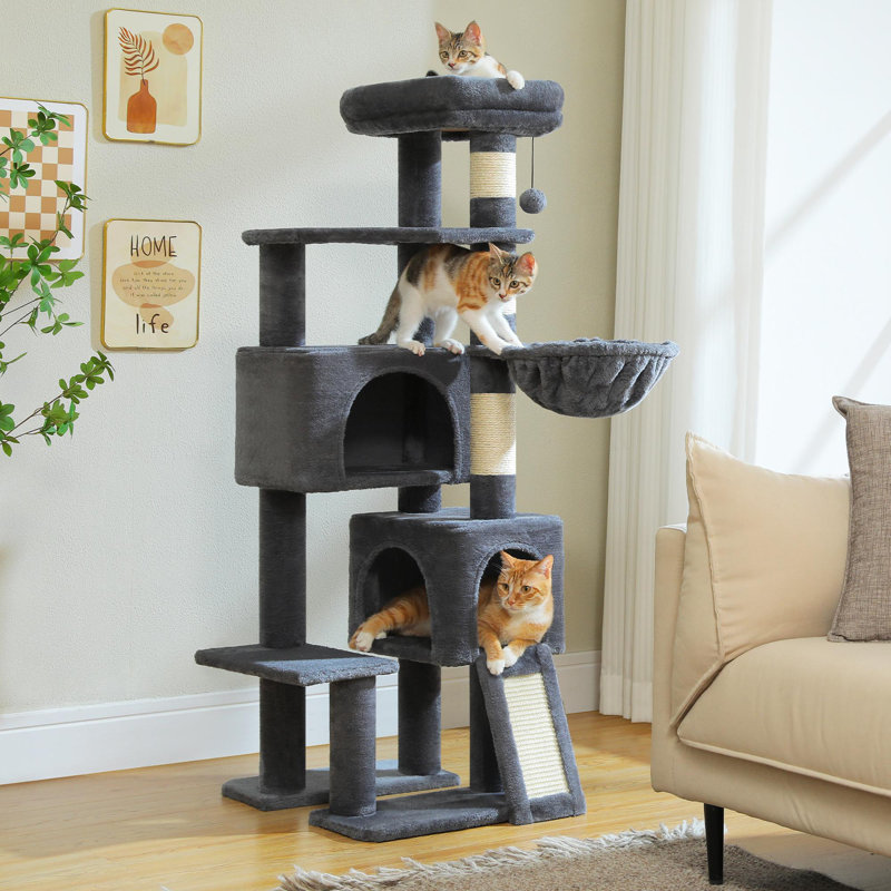 Arbre à chat, Gris foncé