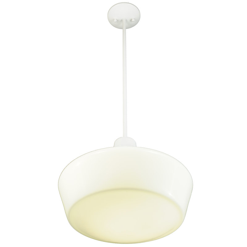Luminaire suspendu simple à 1 lumière