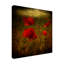 «Fields of Red Ii» par Barbara Simmons - reproduction de photo sur toile-31877538