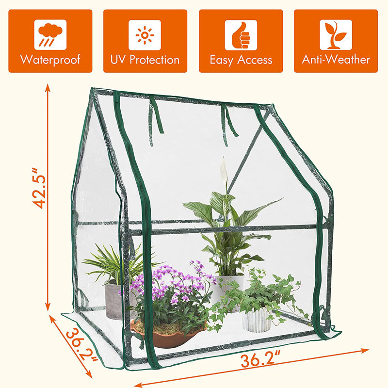 36.2" W x 36.2" D Mini Greenhouse