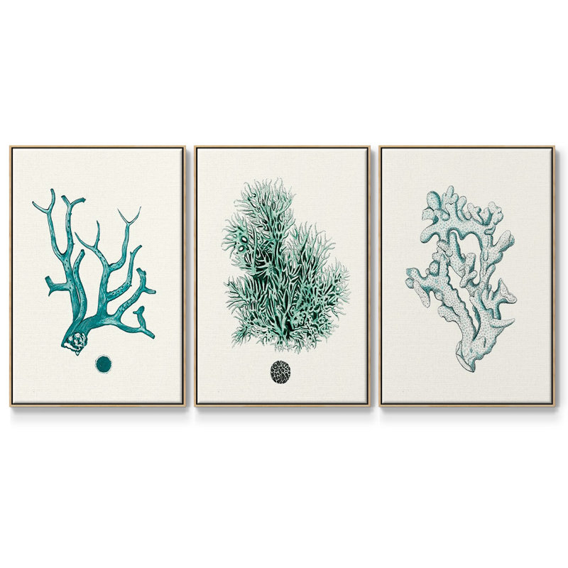 Ensemble de 3 pièces encadrées sur toile Antique Coastal Coral IV, Naturel, H 40 po x l 78 po