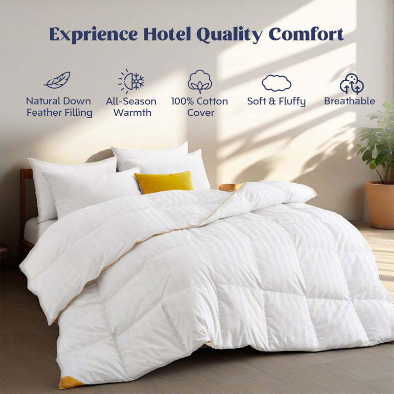 Queen Size Down Fiber Comforter - All Season, Organic Cotton, Hotel Collection (90"x90", White)