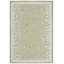 Tapis intérieur / extérieur vert Monteiro-1964211601