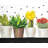 Small Cactus and Succulents Botanical Polyester Placemat