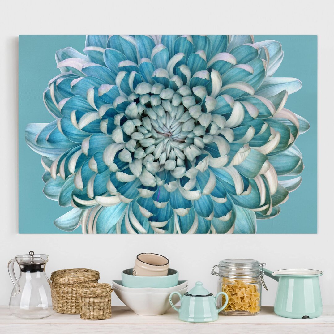 Leinwandbild Blaue Chrysantheme